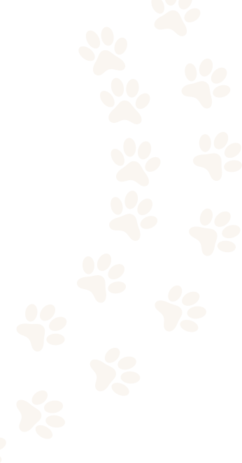 slider_paws